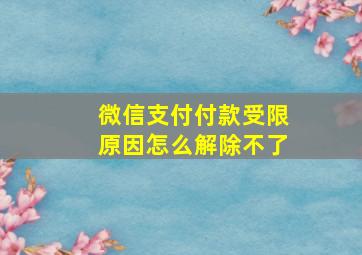 微信支付付款受限原因怎么解除不了