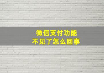 微信支付功能不见了怎么回事