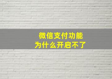 微信支付功能为什么开启不了