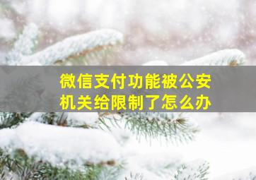 微信支付功能被公安机关给限制了怎么办