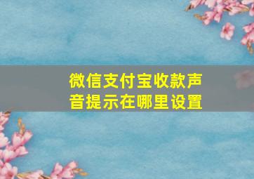 微信支付宝收款声音提示在哪里设置