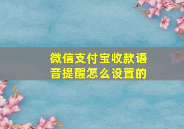 微信支付宝收款语音提醒怎么设置的