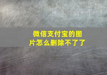 微信支付宝的图片怎么删除不了了