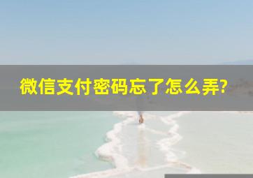 微信支付密码忘了怎么弄?