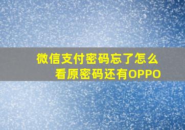 微信支付密码忘了怎么看原密码还有OPPO