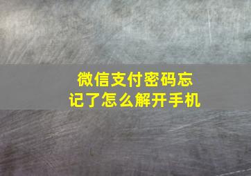 微信支付密码忘记了怎么解开手机