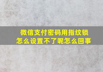 微信支付密码用指纹锁怎么设置不了呢怎么回事