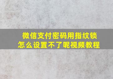 微信支付密码用指纹锁怎么设置不了呢视频教程