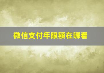 微信支付年限额在哪看