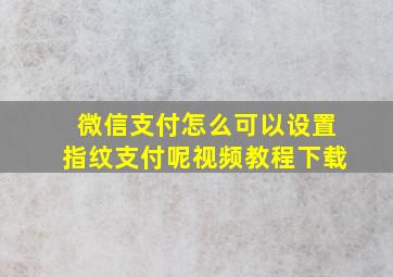 微信支付怎么可以设置指纹支付呢视频教程下载