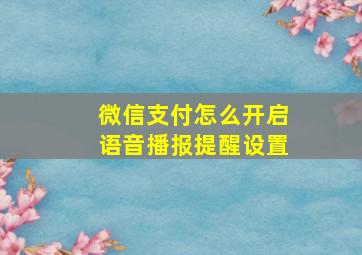 微信支付怎么开启语音播报提醒设置