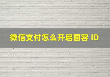 微信支付怎么开启面容 ID