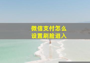 微信支付怎么设置刷脸进入