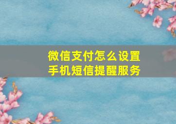 微信支付怎么设置手机短信提醒服务