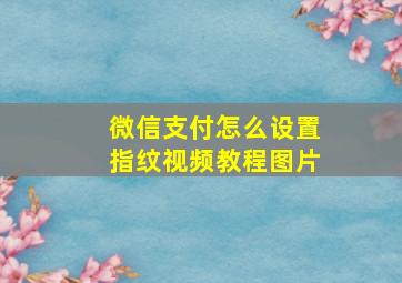 微信支付怎么设置指纹视频教程图片