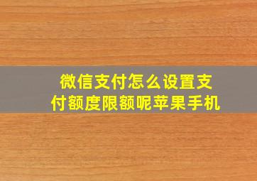 微信支付怎么设置支付额度限额呢苹果手机