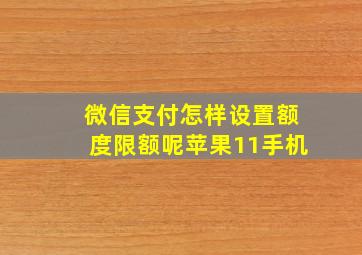 微信支付怎样设置额度限额呢苹果11手机