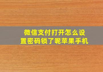 微信支付打开怎么设置密码锁了呢苹果手机