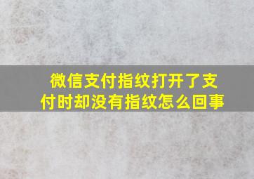 微信支付指纹打开了支付时却没有指纹怎么回事