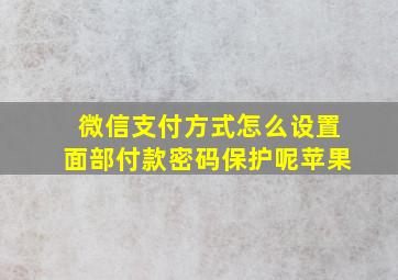 微信支付方式怎么设置面部付款密码保护呢苹果