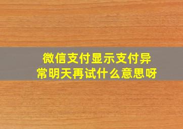 微信支付显示支付异常明天再试什么意思呀