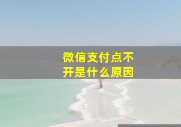 微信支付点不开是什么原因