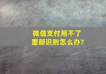 微信支付用不了面部识别怎么办?