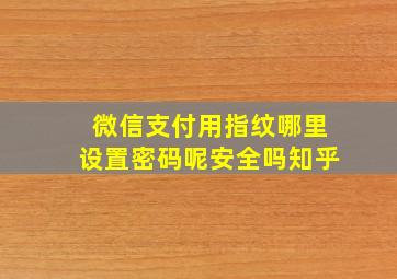 微信支付用指纹哪里设置密码呢安全吗知乎