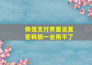 微信支付界面设置密码锁一会用不了