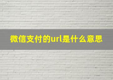 微信支付的url是什么意思