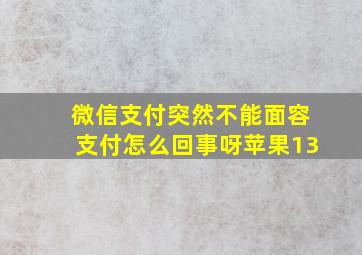 微信支付突然不能面容支付怎么回事呀苹果13