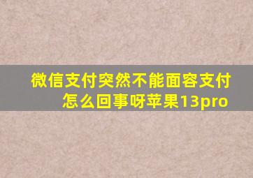 微信支付突然不能面容支付怎么回事呀苹果13pro