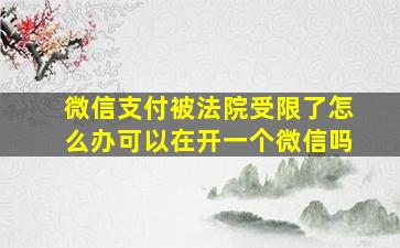 微信支付被法院受限了怎么办可以在开一个微信吗