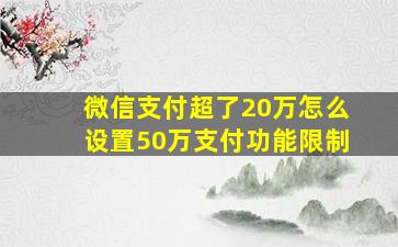 微信支付超了20万怎么设置50万支付功能限制