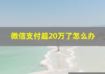 微信支付超20万了怎么办