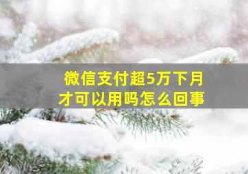 微信支付超5万下月才可以用吗怎么回事