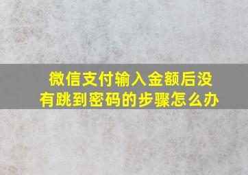 微信支付输入金额后没有跳到密码的步骤怎么办