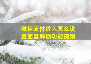 微信支付进入怎么设置面容解锁功能视频