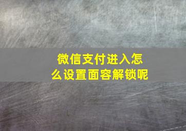 微信支付进入怎么设置面容解锁呢