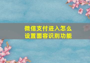 微信支付进入怎么设置面容识别功能