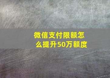 微信支付限额怎么提升50万额度