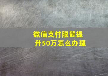 微信支付限额提升50万怎么办理