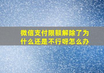 微信支付限额解除了为什么还是不行呀怎么办