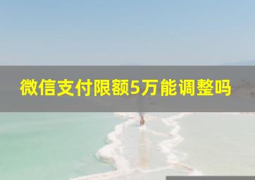 微信支付限额5万能调整吗