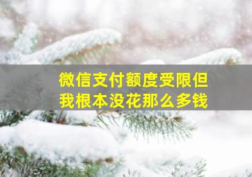 微信支付额度受限但我根本没花那么多钱