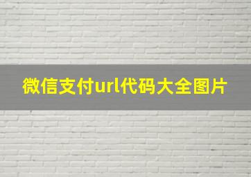 微信支付url代码大全图片