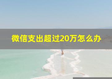 微信支出超过20万怎么办