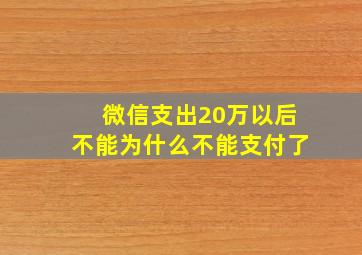 微信支出20万以后不能为什么不能支付了