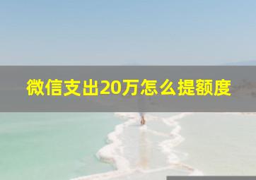 微信支出20万怎么提额度