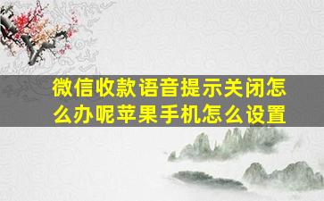 微信收款语音提示关闭怎么办呢苹果手机怎么设置